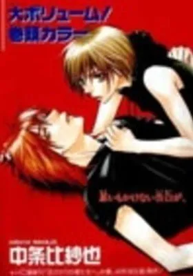 Wild Kiss